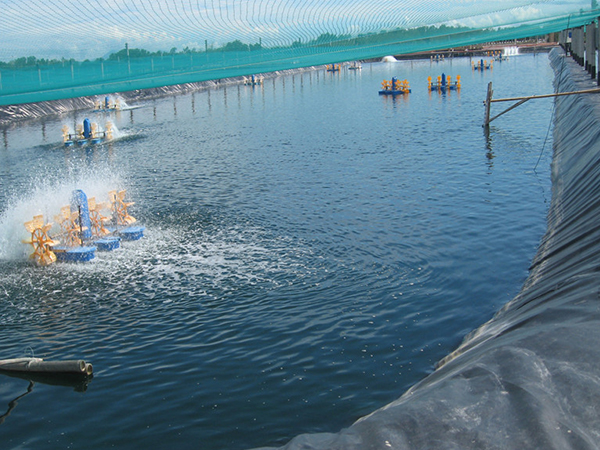 哪些優(yōu)勢(shì)是促進(jìn)水產(chǎn)養(yǎng)殖膜使用的關(guān)鍵點(diǎn)？