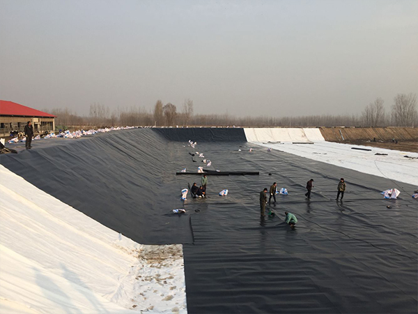 選購防滲土工膜的問題詳解