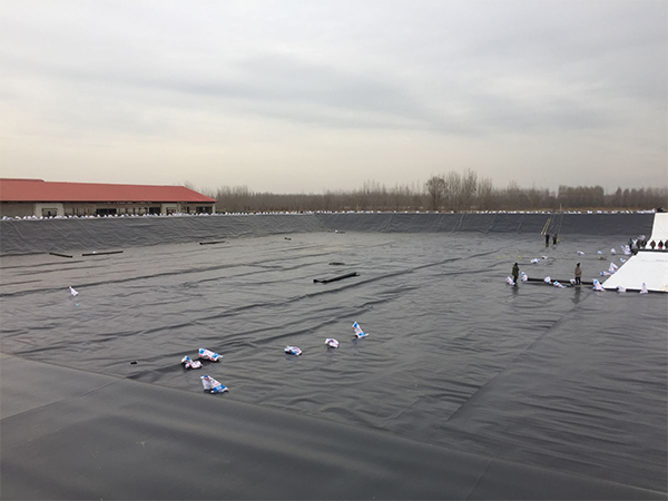 養(yǎng)殖業(yè)朋友注意了：如何延長防滲土工膜使用壽命？