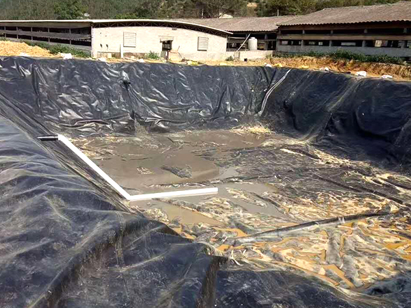 選擇魚塘防滲膜可參考哪幾點因素？