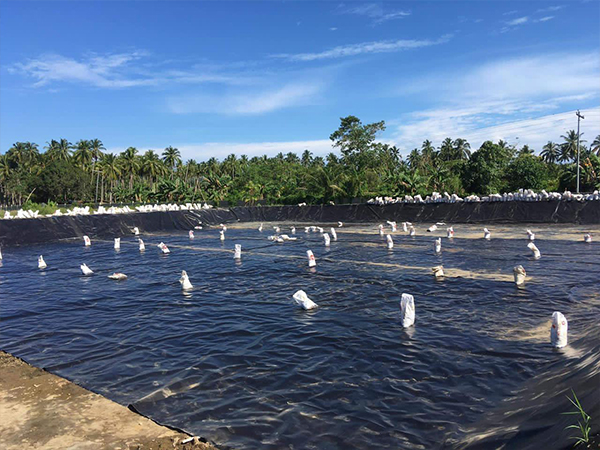 確保防滲膜的化學(xué)性質(zhì)穩(wěn)定性至關(guān)重要。