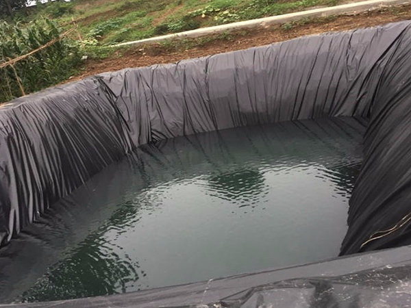 水產(chǎn)養(yǎng)殖防滲膜鋪設后能用多久？
