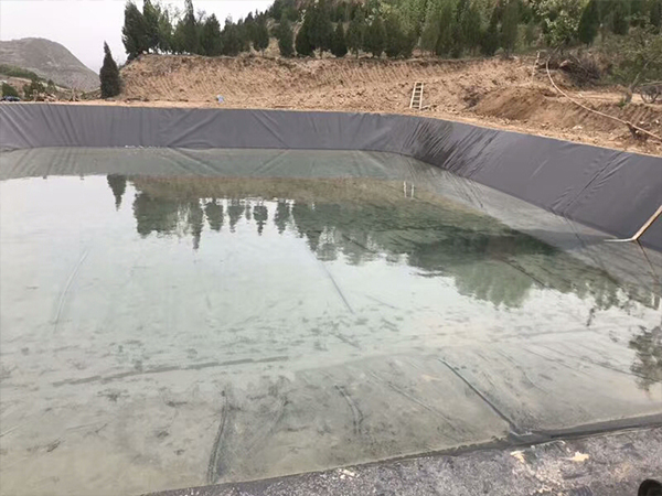 水產(chǎn)土工膜在藕池建設(shè)中充當(dāng)怎樣的角色？
