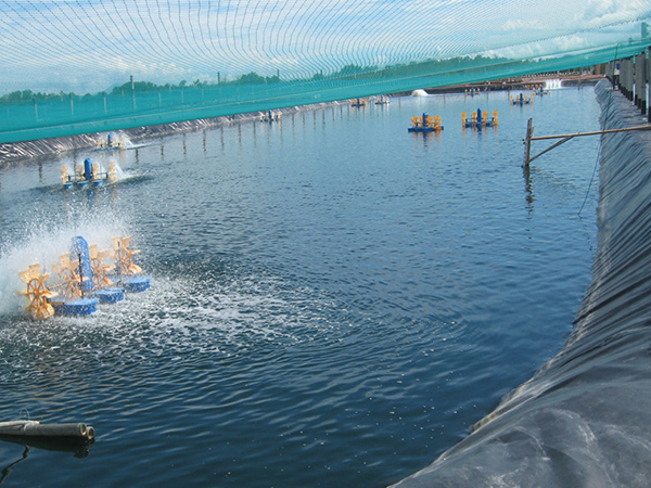 水產(chǎn)土工膜施工過程中該如何進(jìn)行基面清潔？