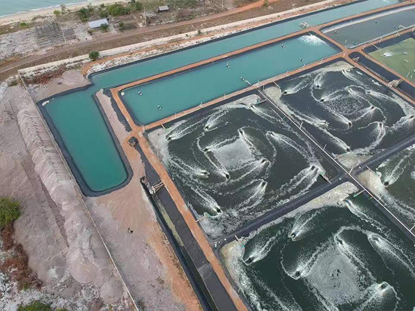 養(yǎng)殖防滲膜為何被廣泛應(yīng)用于養(yǎng)殖業(yè)？