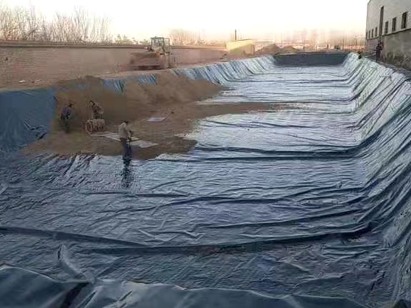 養(yǎng)殖防滲膜為何被廣泛應用于魚塘建設？