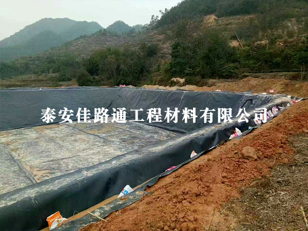 藕池養(yǎng)殖防滲膜修補(bǔ)工作順利謹(jǐn)慎進(jìn)行中