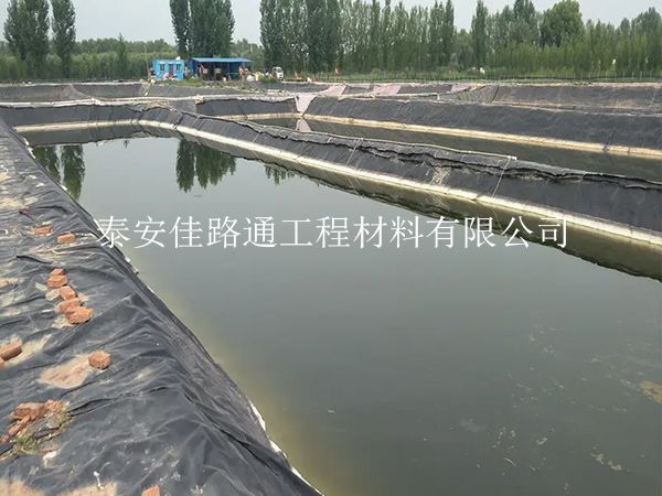 養(yǎng)殖防滲膜：魚蝦養(yǎng)殖的綠色守護(hù)者，創(chuàng)新助力水產(chǎn)繁榮