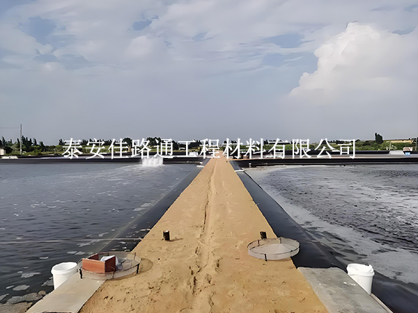 水產(chǎn)養(yǎng)殖防滲膜錨固施工方法：簡單新穎的實(shí)踐指南