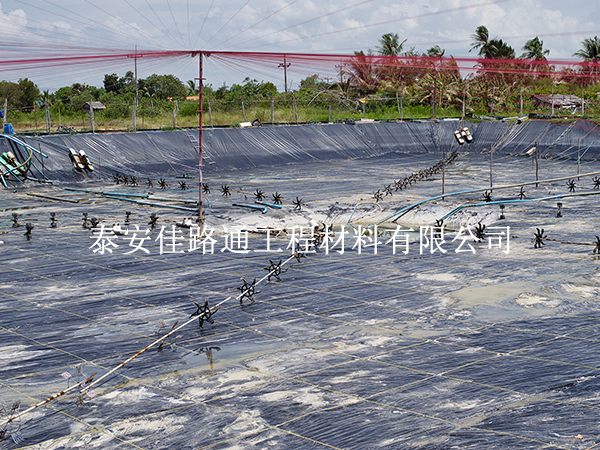 水產(chǎn)養(yǎng)殖防滲膜在藕池壩體防滲施工中的關(guān)鍵操作技巧 水產(chǎn)養(yǎng)殖防滲膜在藕池壩體防滲施工中的關(guān)鍵操作技巧